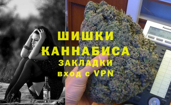 ПСИЛОЦИБИНОВЫЕ ГРИБЫ Краснослободск