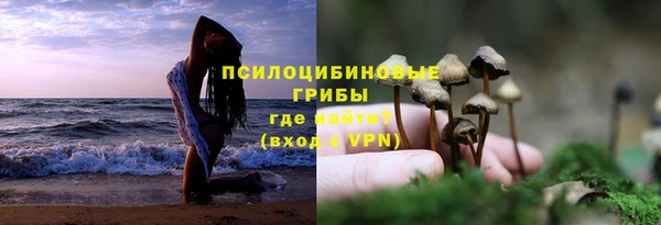 ПСИЛОЦИБИНОВЫЕ ГРИБЫ Краснослободск