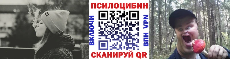 Купить закладки  Бакал  Галлюциногенные грибы мухоморы 